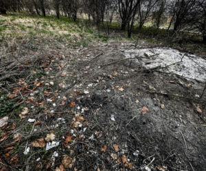 Zabrali dzieciom psa jak rzecz