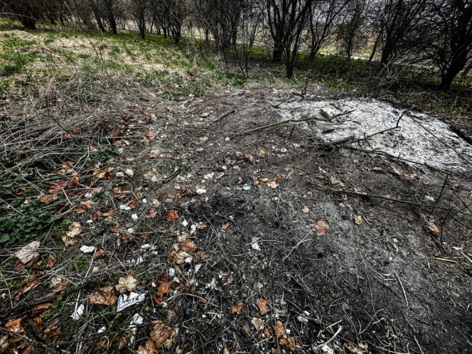 Zabrali dzieciom psa jak rzecz