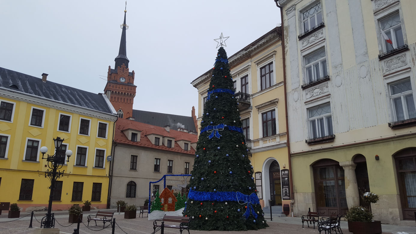 Choinka stanęła już na Placu Kazimierza w Tarnowie