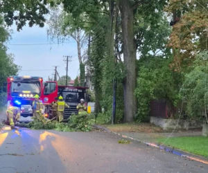 Skutki burz w Siedlcach i powiecie siedleckim