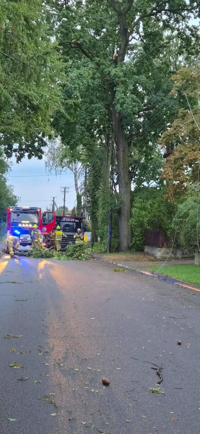 Skutki burz w Siedlcach i powiecie siedleckim