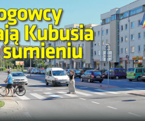 Drogowcy mają Kubusia na sumieniu