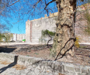 Puste miejsce po Maciusiu