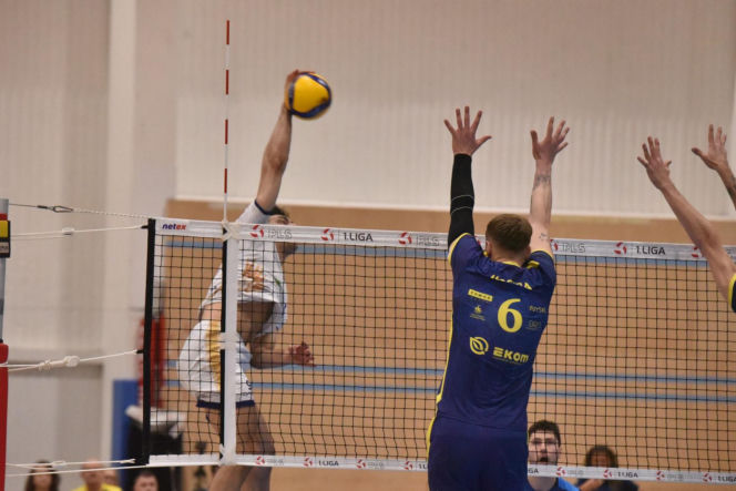 CUK Anioły Toruń - Stal Nysa: Komplet widzów na siatkarskim hicie w SP nr 28