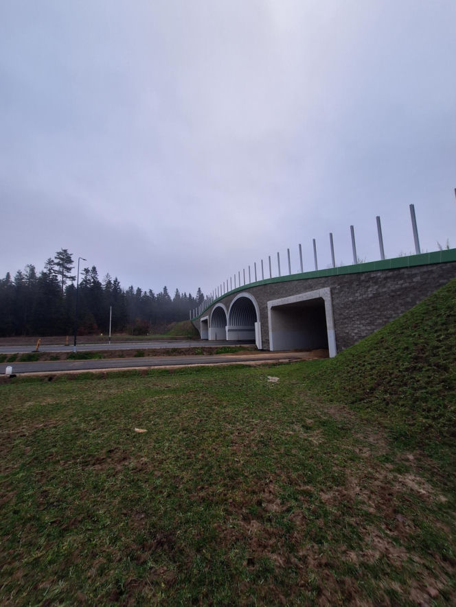 Obwodnia Wąchocka (grudzień 2025)