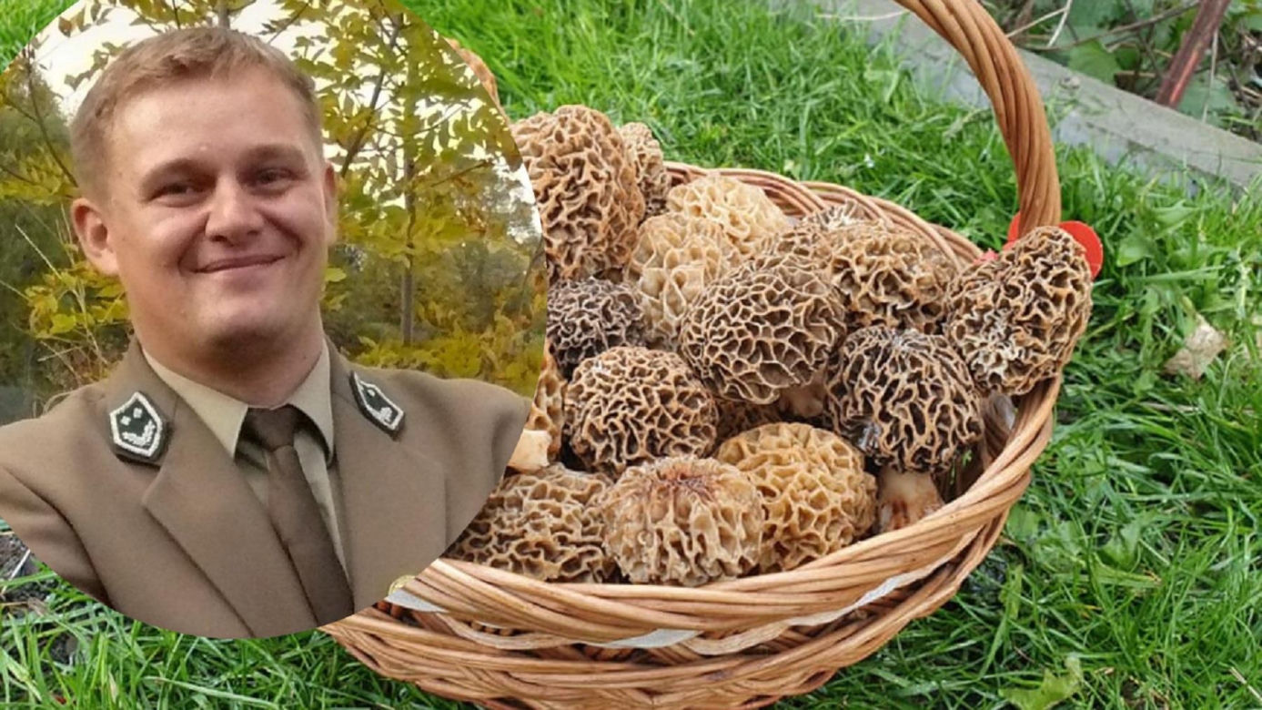 Pierwsze wiosenne grzyby w lasach Świętokrzyskich – gdzie ich szukać i jak je rozpoznać?