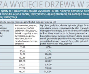 Opłaty za wycięcie drzewa