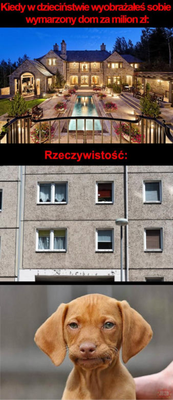 Spróbuj się nie zaśmiać. Takich memów o Warszawie jeszcze nie widziałeś