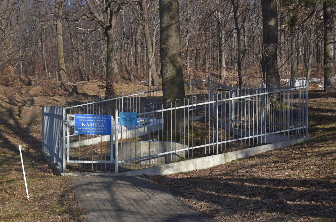 Najmniejsze uzdrowisko w Polsce leży w Małopolsce. Kiedyś zrujnowane, dziś wraca do łask