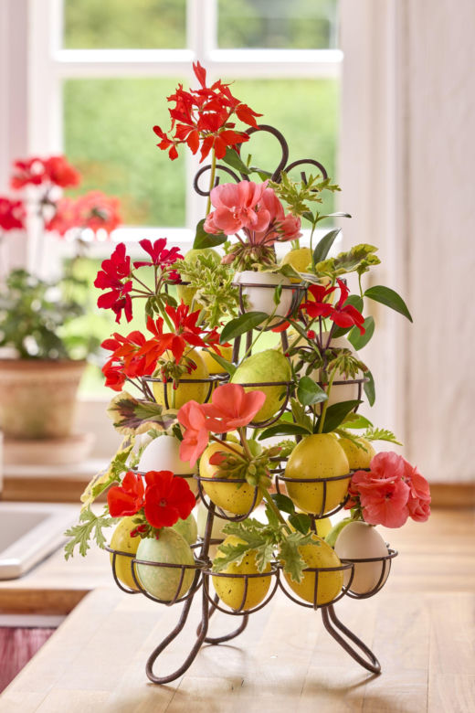 Pelargonie w wielkanocnych dekoracjach
