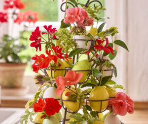 Pelargonie w wielkanocnych dekoracjach