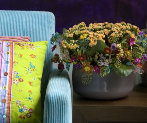 Kalanchoe Blossfelda