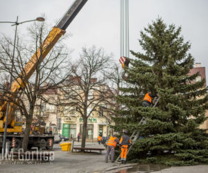 Gorlice: Na rynku już stoi choinka. Jest piękna. MUSISZ ją zobaczyć