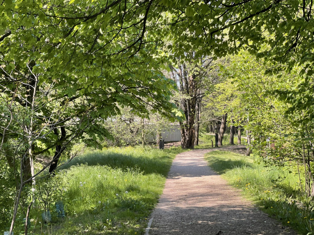 Najdłuższy park w Polsce jest w Krakowie. Ledwo widać go na mapach, a jest pełen atrakcji