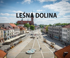 21. Leśna Dolina
