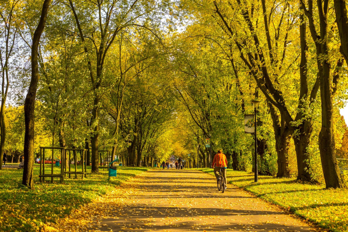 Park Śląski jesienią jest naprawdę piękny