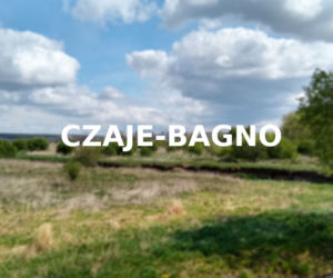 Czaje Bagno