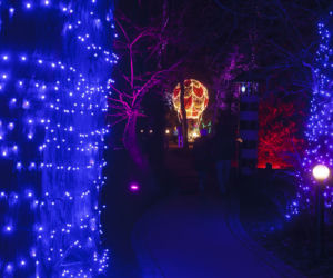 Park Iluminacji w zamku Topacz