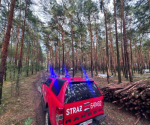Burza przerwała obóz harcerski. 121 osób ewakuowanych, setki strażaków w akcji!