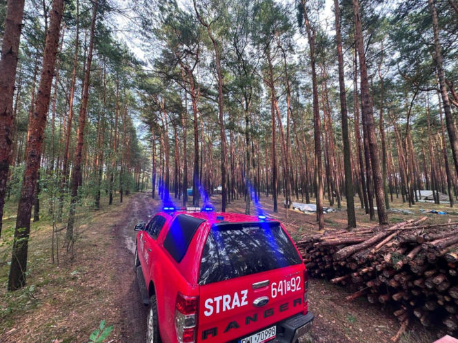 Alarm w Wielkopolsce! Nawałnice uderzyły, strażacy ewakuowali harcerzy [ZDJĘCIA]