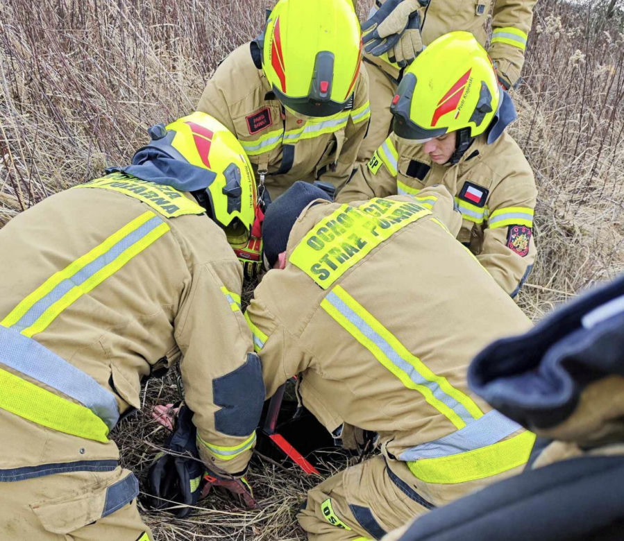 Strażacy uratowali sarenkę