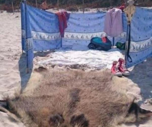 Najzabawniejsze memy o Podlasiu