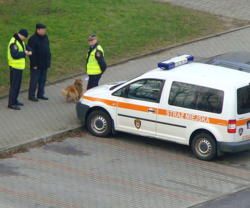 straż