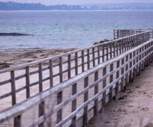 Humbak utknął u północnych wybrzeży Niemiec