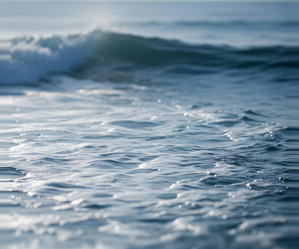 Przedstawia falujące morze w odcieniach błękitu i szarości. Na pierwszym planie widać spienioną wodę z drobnymi bąbelkami, tworzącą nieregularny, falisty wzór. W tle znajduje się większa, częściowo załamująca się fala, która załamuje się, tworząc biały grzbiet. Całość jest rozmyta z wyjątkiem centralnej części obrazu, co nadaje wrażenie ruchu i głębi.