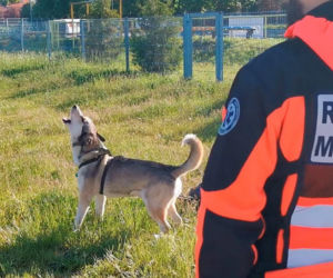 Pilnował pana nawet po jego śmierci