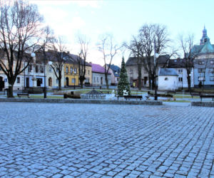 To najmniejsze miasto w województwie śląskim. Jest uznawane za stolicę polskich Moraw