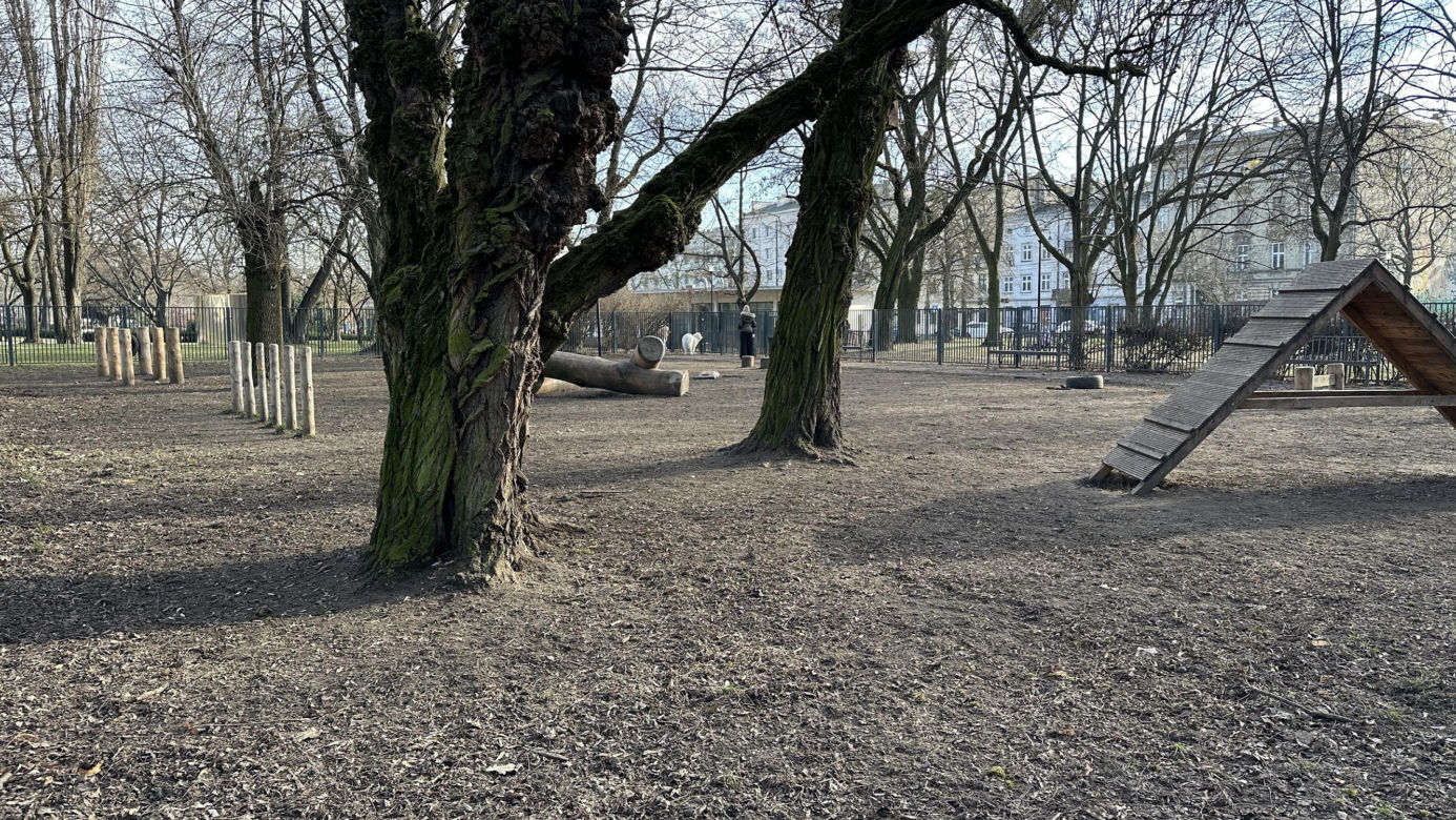 Psi park w Parku Staromiejskim w Łodzi