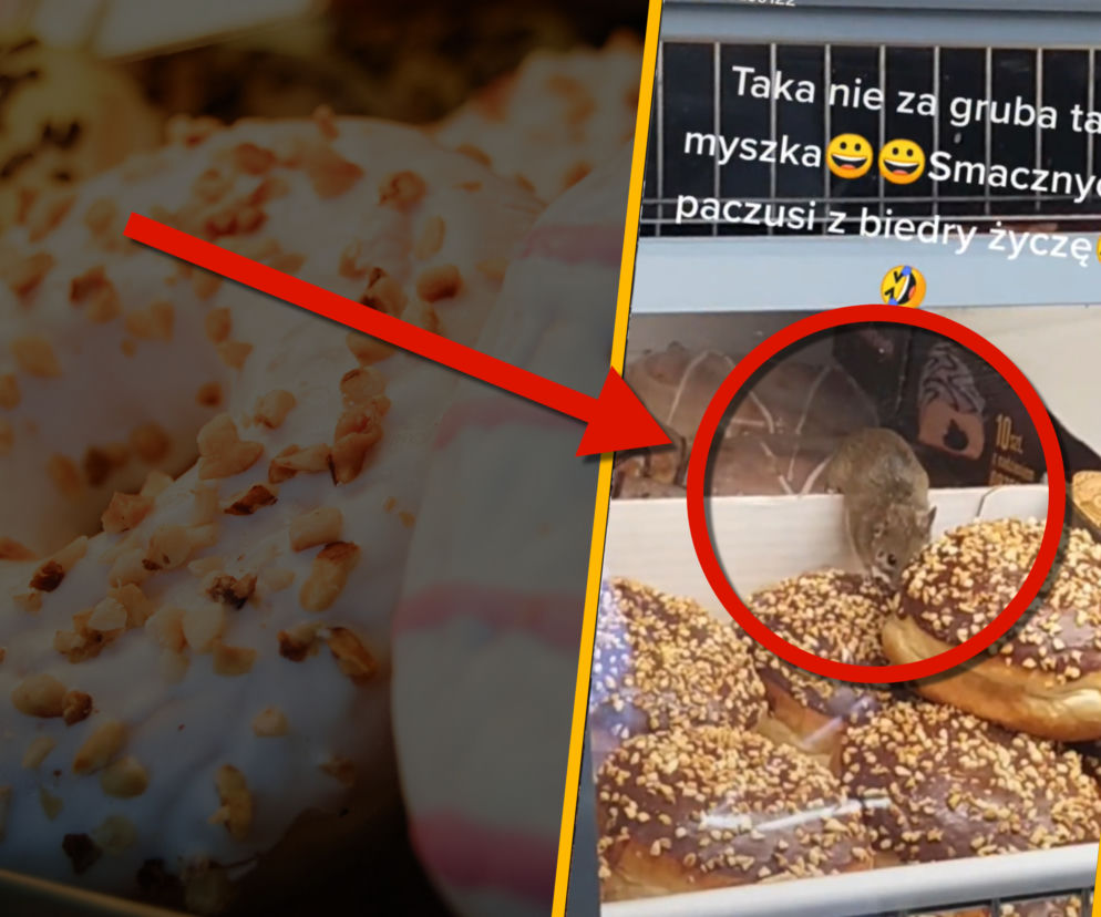 Mysz w pączkach w Biedronce hitem Internetu. Taka nie za gruba...