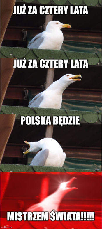 Najlepsze memy po meczu Polska – Holandia
