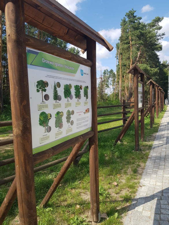 Wieża widokowa w Uhowie. To najwyższa wieża na Podlasiu [ZDJĘCIA]