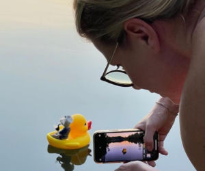 Filcowe myszki Joanny. Marka Wyszło z norki