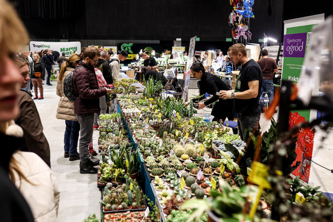 Targi egzotyki w Katowicach