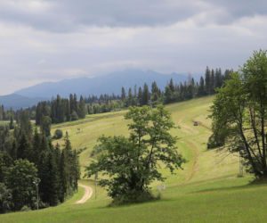 To jedna z najciekawszych wsi w Małopolsce. Jest ozdobą Podhala, a jej mieszkańcy słyną z pobożności