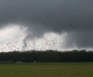 Południe sprząta po tornadach