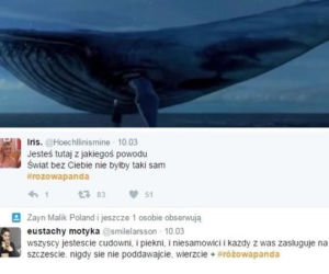 Niebieski Wieloryb - o co chodzi? Na czym polega niebezpieczna gra nastolatków