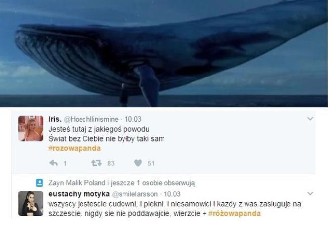 Niebieski Wieloryb - o co chodzi? Na czym polega niebezpieczna gra nastolatków