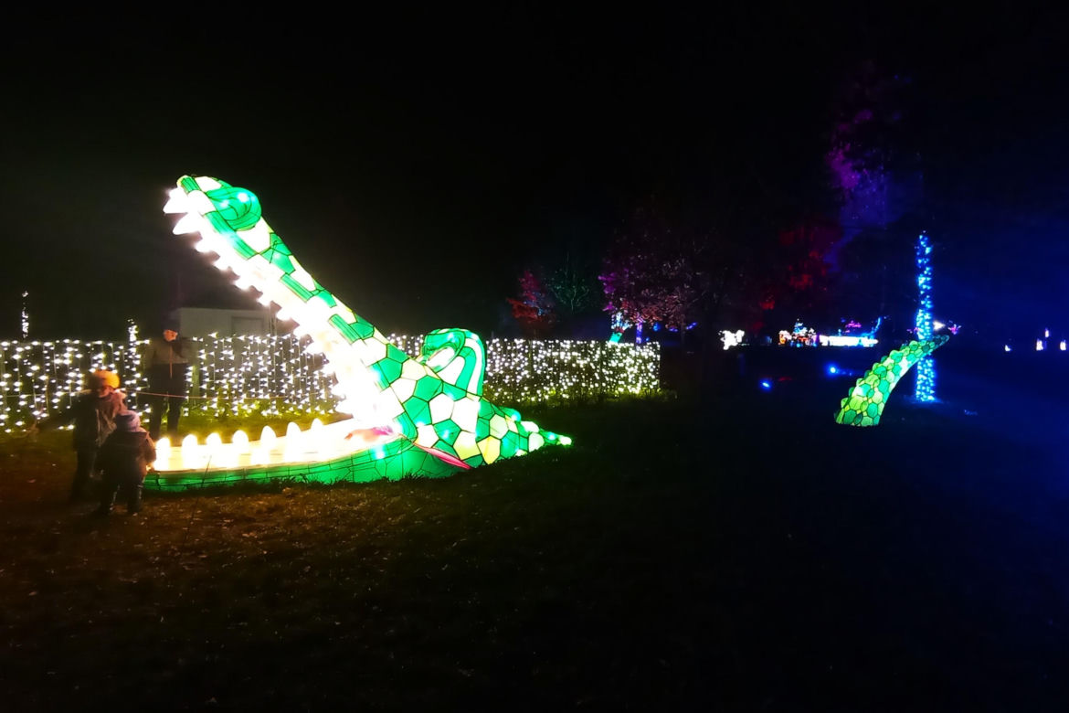 Garden of Lights w Szczecinie
