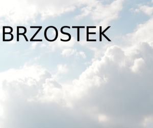 Na tych nazwach miejscowości na Podkarpaciu możesz połamać język