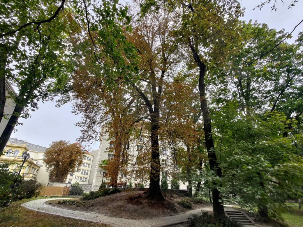 Park Dolina Szwajcarska w Warszawie