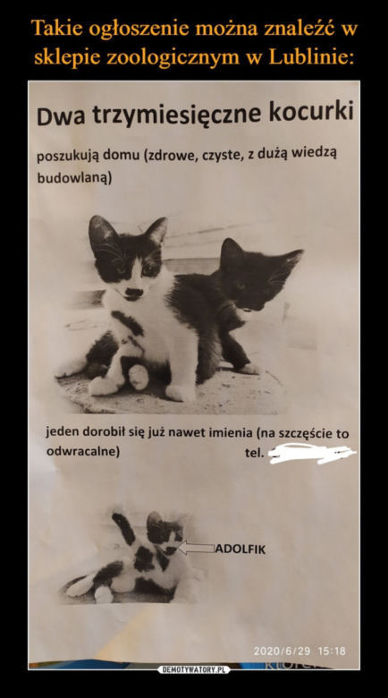 Najlepsze ogłoszenia z miejsc pracy! Nie uwierzysz że ktoś je wywiesił! 