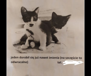 Najlepsze ogłoszenia z miejsc pracy! Nie uwierzysz że ktoś je wywiesił! 