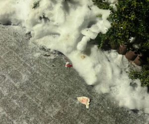 Dwa dni przed tragedią pozowali razem do zdjęcia. Dziś w mieszkaniu przy Bałtyckiej 3 nadal pracują śledczy