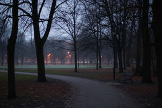 Dziki odstrzelone w Warszawie. Czy to koniec politycznej kariery Rafała Trzaskowskiego?