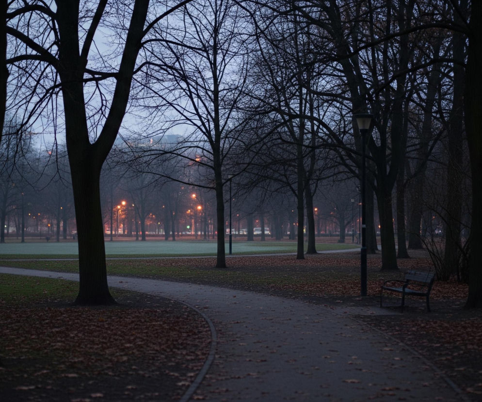 Park w zmierzchu lub o świcie, z licznymi drzewami o nagich gałęziach dominującymi w kadrze, ich ciemne sylwetki odcinają się od jaśniejszego, szaro-niebieskiego nieba. Pośrodku wijąca się, asfaltowa ścieżka prowadzi w głąb obrazu, otoczona po obu stronach trawnikami pokrytymi brązowymi liśćmi. Po prawej stronie ścieżki widać ciemną ławkę parkową i latarnię, a w oddali, przez mglistą przestrzeń parku, świecą pomarańczowe światła ulicznych lamp.