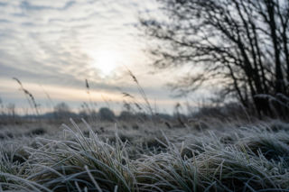 Mielec, 02.12.2025: Zimowy powiew na dobry początek dnia! Czy słońce nas oszuka?